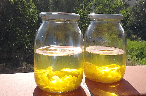 homemade limoncello recipe