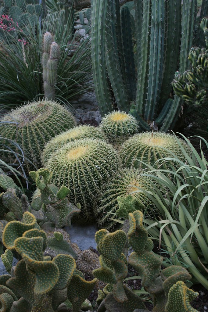 gardens of southern italy